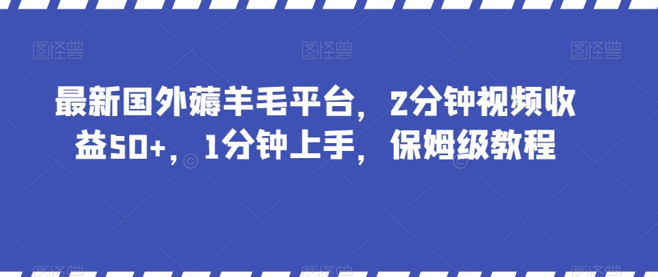 最新国外薅羊毛平台，2分钟视频收益50+，1分钟上手，保姆级教程【揭秘】-氢气球网创资源库