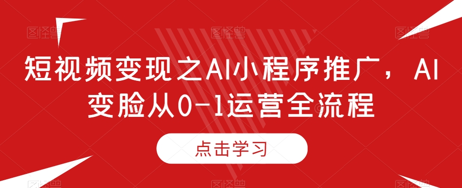 短视频变现之AI小程序推广，AI变脸从0-1运营全流程-氢气球网创资源库