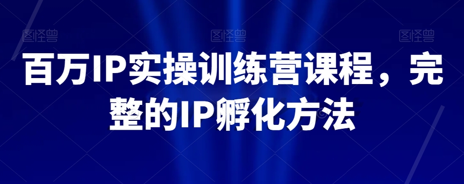 百万IP实操训练营课程，完整的IP孵化方法-氢气球网创资源库