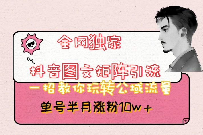全网独家抖音图文矩阵引流，一招教你玩转公域流量，单号半月涨粉10w+【揭秘】-氢气球网创资源库