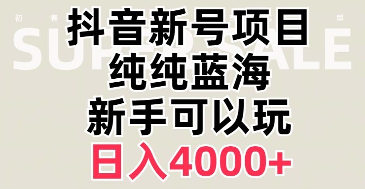 抖音蓝海赛道，必须是新账号，日入4000+【揭秘】-氢气球网创资源库