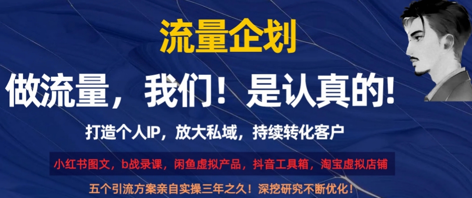 流量企划，打造个人IP，放大私域，持续转化客户【揭秘】-氢气球网创资源库