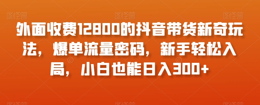 外面收费12800的抖音带货新奇玩法，爆单流量密码，新手轻松入局，小白也能日入300+【揭秘】-氢气球网创资源库