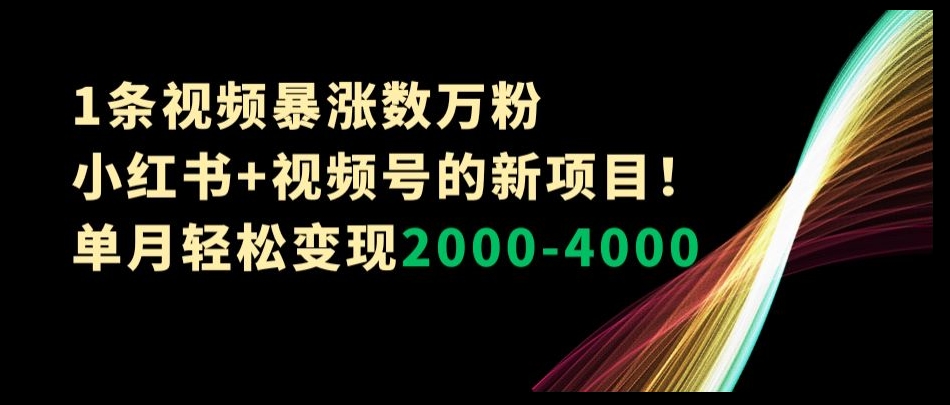 1条视频暴涨数万粉–小红书+视频号的新项目！单月轻松变现2000-4000【揭秘】-氢气球网创资源库