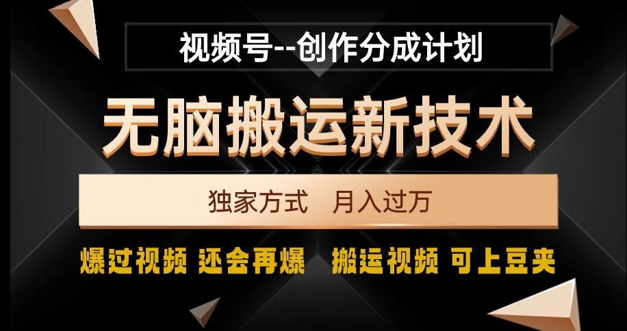 视频号无脑搬运新技术，破原创壕流量，独家方式，爆过视频，还会再爆【揭秘】-氢气球网创资源库