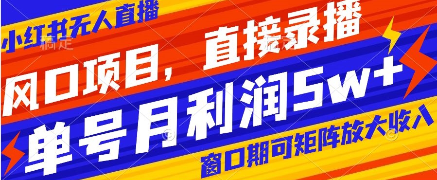 风口项目，小红书无人直播带货，直接录播，可矩阵，月入5w+【揭秘】-氢气球网创资源库
