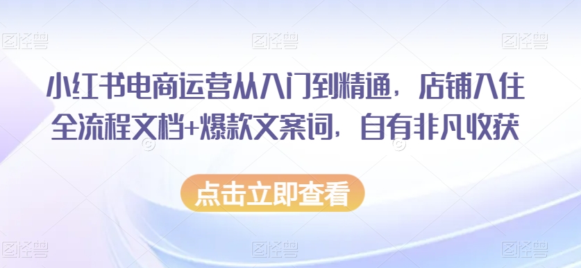 小红书电商运营从入门到精通，店铺入住全流程文档+爆款文案词，自有非凡收获-氢气球网创资源库