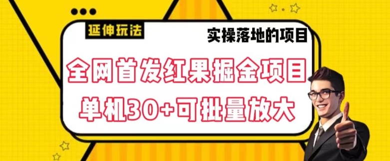 全网首发红果免费短剧掘金项目，单机30+可批量放大【揭秘】-氢气球网创资源库