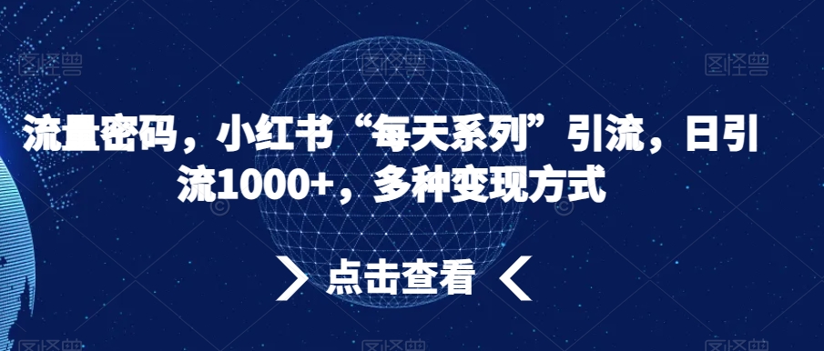 流量密码，小红书“每天系列”引流，日引流1000+，多种变现方式【揭秘】-氢气球网创资源库