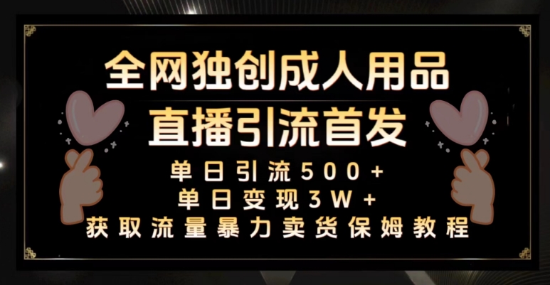 全网独创真人主播+无人直播单日引流500+，橙人用品暴力卖货单日变现3W+保姆似教学2.0【揭秘】-氢气球网创资源库