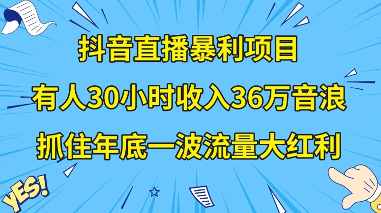 抖音直播暴利项目，有人30小时收入36万音浪，公司宣传片年会视频制作，抓住年底一波流量大红利【揭秘】-氢气球网创资源库