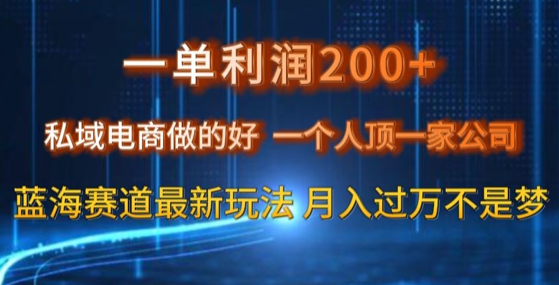 一单利润200私域电商做的好，一个人顶一家公司蓝海赛道最新玩法【揭秘】-氢气球网创资源库