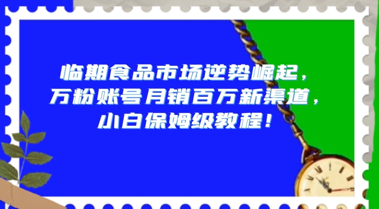 临期食品市场逆势崛起，万粉账号月销百万新渠道，小白保姆级教程【揭秘】-氢气球网创资源库