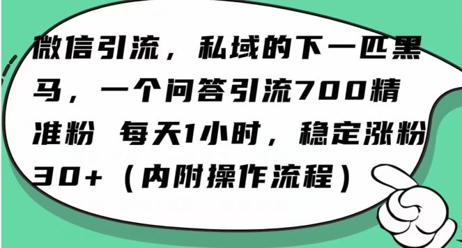 怎么搞精准创业粉？微信新赛道，每天一小时，利用Ai一个问答日引100精准粉-氢气球网创资源库