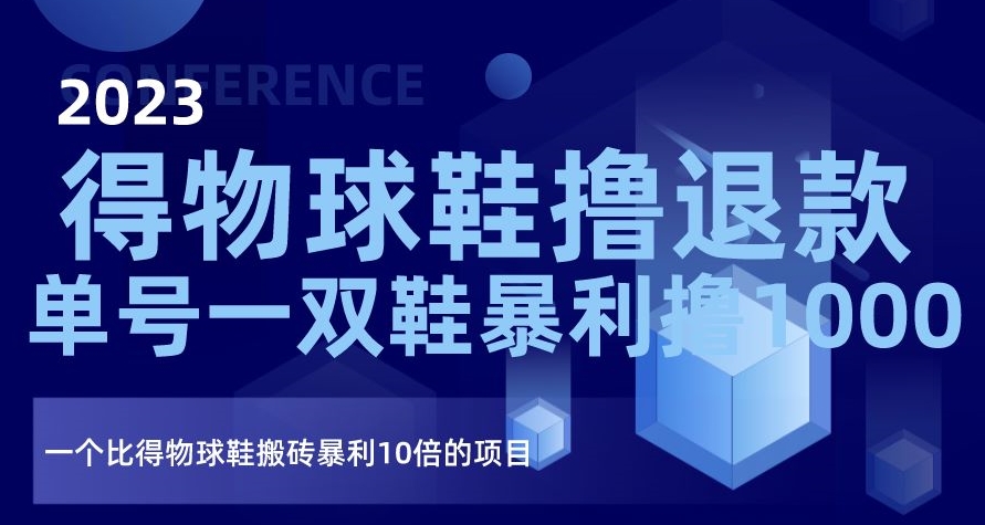 2023得物球鞋撸退款，单号一双鞋暴利撸1000，一个比得物球鞋搬砖暴利10倍的项目【揭秘】-氢气球网创资源库