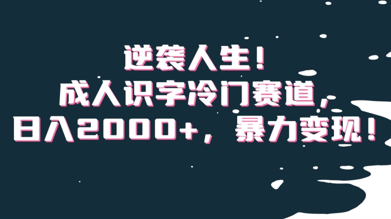 逆袭人生！成人识字冷门赛道，日入2000+，暴力变现！【揭秘】-氢气球网创资源库