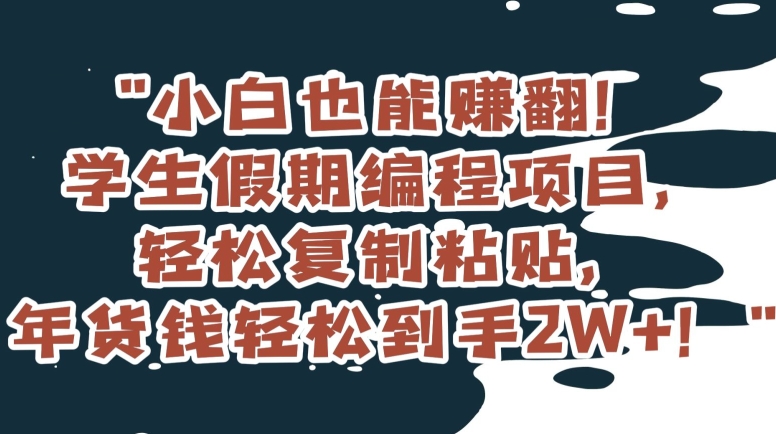 小白也能赚翻！学生假期编程项目，轻松复制粘贴，年货钱轻松到手2W+【揭秘】-氢气球网创资源库