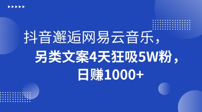 抖音邂逅网易云音乐，另类文案4天狂吸5W粉，日赚1000+【揭秘】-氢气球网创资源库