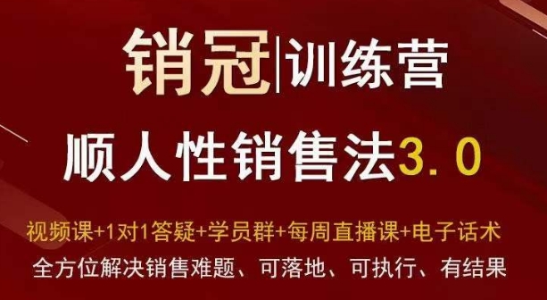 爆款！销冠训练营3.0之顺人性销售法，全方位解决销售难题、可落地、可执行、有结果-氢气球网创资源库