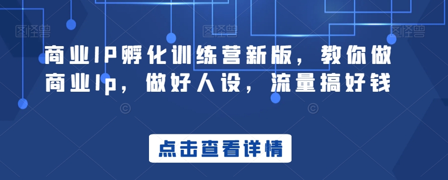 商业IP孵化训练营新版，教你做商业Ip，做好人设，流量搞好钱-氢气球网创资源库