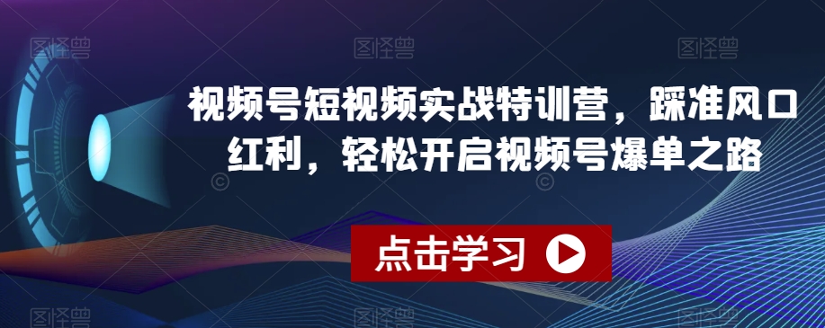 视频号短视频实战特训营，踩准风口红利，轻松开启视频号爆单之路-氢气球网创资源库