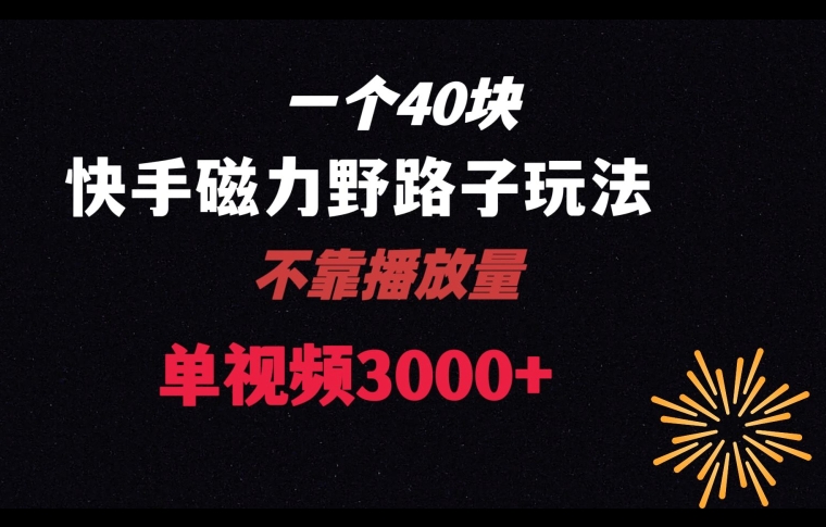 一个40块，快手联合美团磁力新玩法，无视机制野路子玩法，单视频收益4位数【揭秘】-氢气球网创资源库