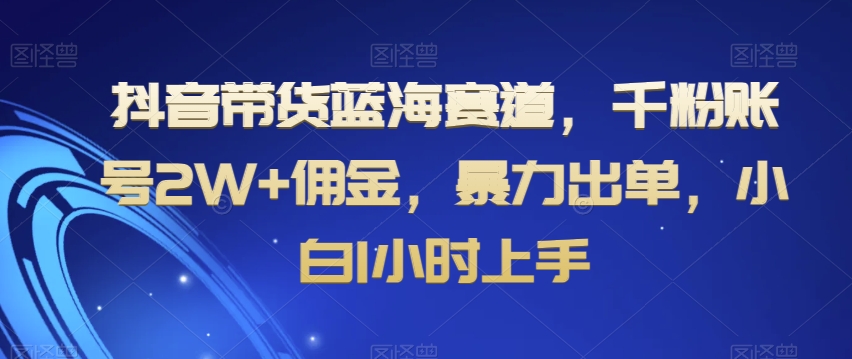 抖音带货蓝海赛道，千粉账号2W+佣金，暴力出单，小白1小时上手【揭秘】-氢气球网创资源库