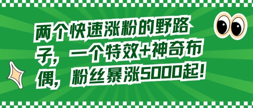 两个快速涨粉的野路子，一个特效+神奇布偶，粉丝暴涨5000起【揭秘】-氢气球网创资源库