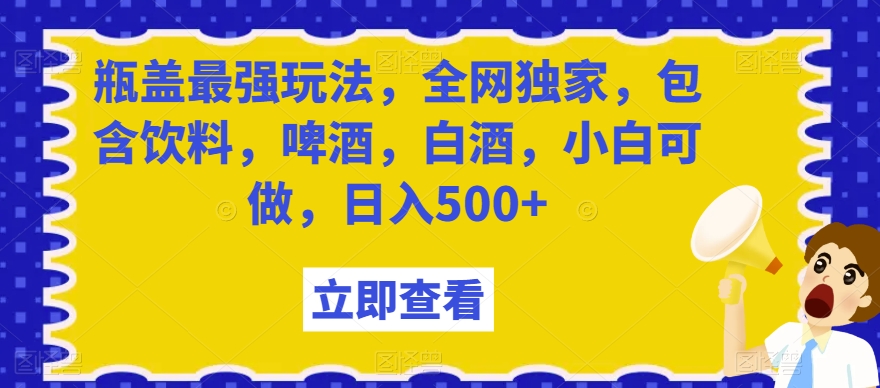 瓶盖最强玩法，全网独家，包含饮料，啤酒，白酒，小白可做，日入500+【揭秘】-氢气球网创资源库