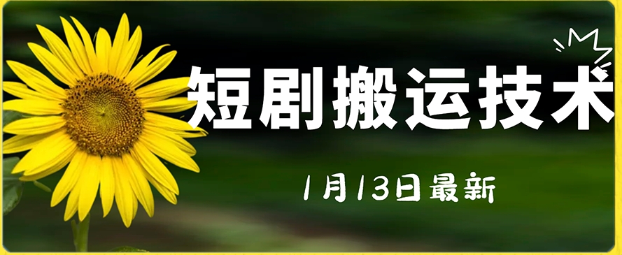 最新短剧搬运技术，电脑手机都可以操作，不限制机型-氢气球网创资源库