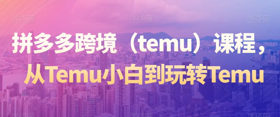 拼多多跨境（temu）课程，从Temu小白到玩转Temu-氢气球网创资源库