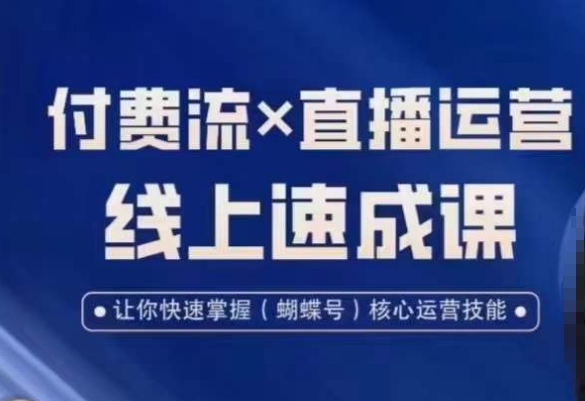 视频号付费流实操课程，付费流✖️直播运营速成课，让你快速掌握视频号核心运营技能-氢气球网创资源库