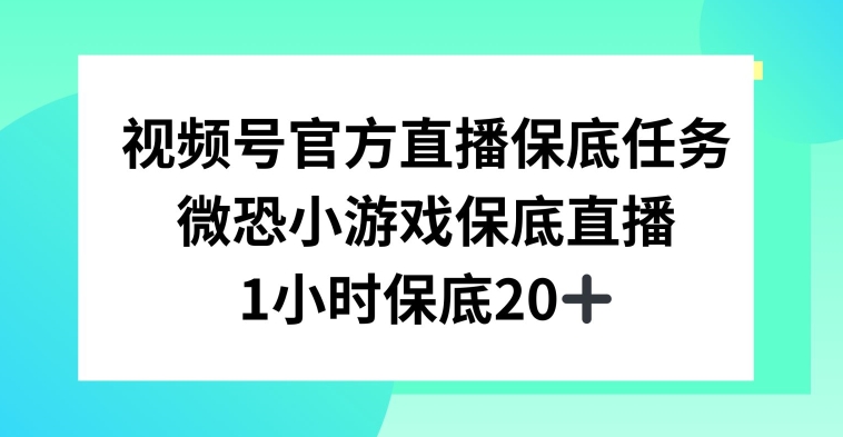 视频号直播任务，微恐小游戏，1小时20+【揭秘】-氢气球网创资源库