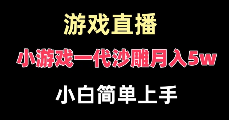 玩小游戏一代沙雕月入5w，爆裂变现，快速拿结果，高级保姆式教学【揭秘】-氢气球网创资源库
