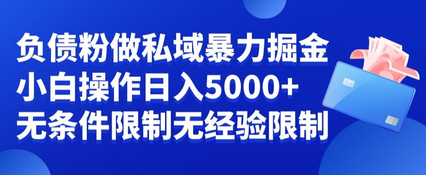 负债粉私域暴力掘金，小白操作入5000，无经验限制，无条件限制【揭秘】-氢气球网创资源库