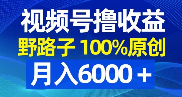 视频号野路子撸收益，100%原创，条条爆款，月入6000＋【揭秘】-氢气球网创资源库