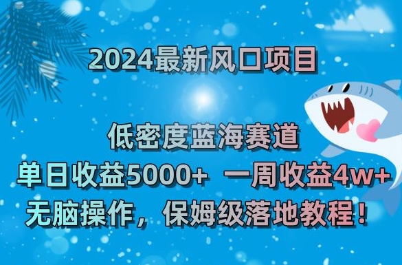 2024最新风口项目，低密度蓝海赛道，单日收益5000+，一周收益4w+！【揭秘】-氢气球网创资源库