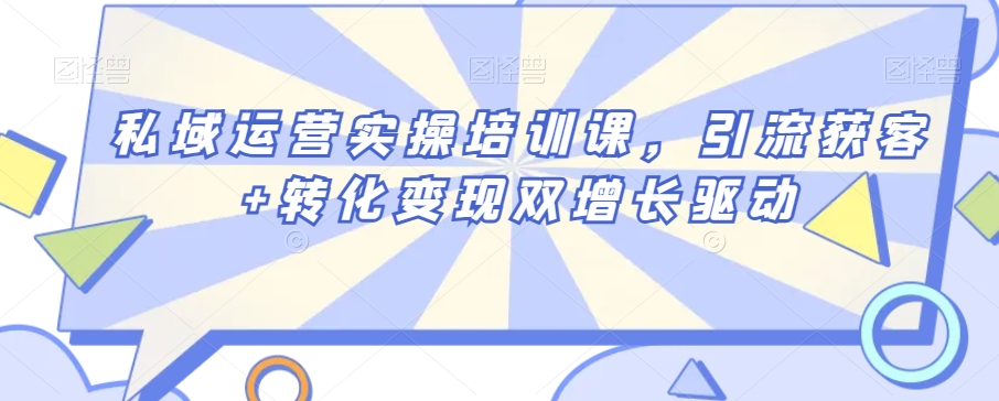 私域运营实操培训课，引流获客+转化变现双增长驱动-氢气球网创资源库