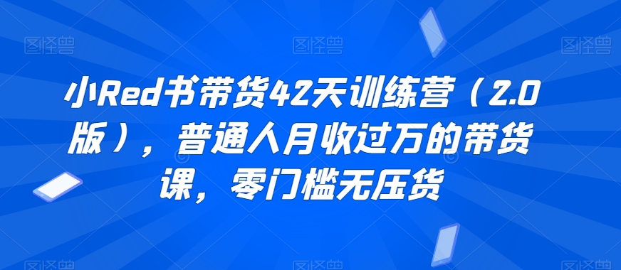小Red书带货42天训练营（2.0版），普通人月收过万的带货课，零门槛无压货-氢气球网创资源库