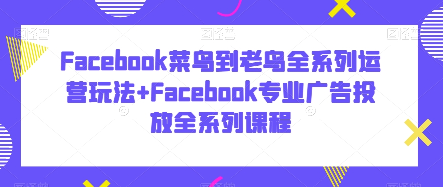 Facebook菜鸟到老鸟全系列运营玩法+Facebook专业广告投放全系列课程-氢气球网创资源库