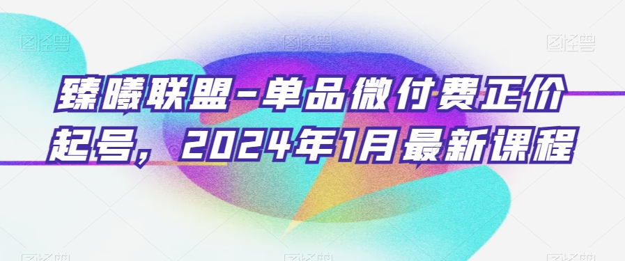 臻曦联盟-单品微付费正价起号，2024年1月最新课程-氢气球网创资源库