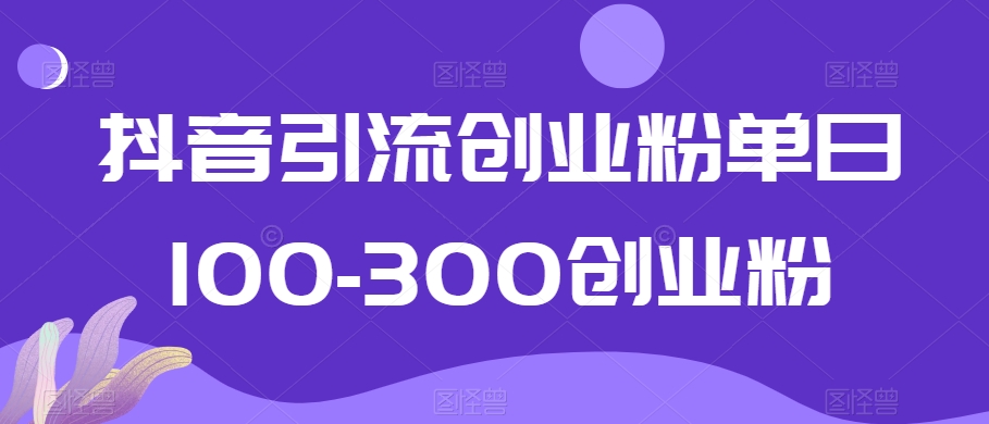 抖音引流创业粉单日100-300创业粉【揭秘】-氢气球网创资源库