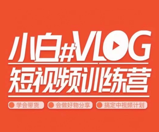 小呆说视–小白VLOG短视频训练营，学会带货、好物、直播、中视频-氢气球网创资源库