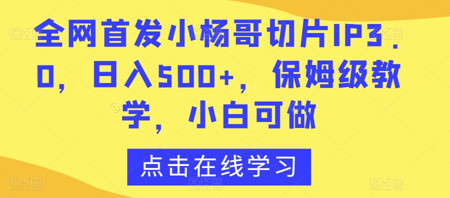 全网首发小杨哥切片IP3.0，日入500+，保姆级教学，小白可做【揭秘】-氢气球网创资源库