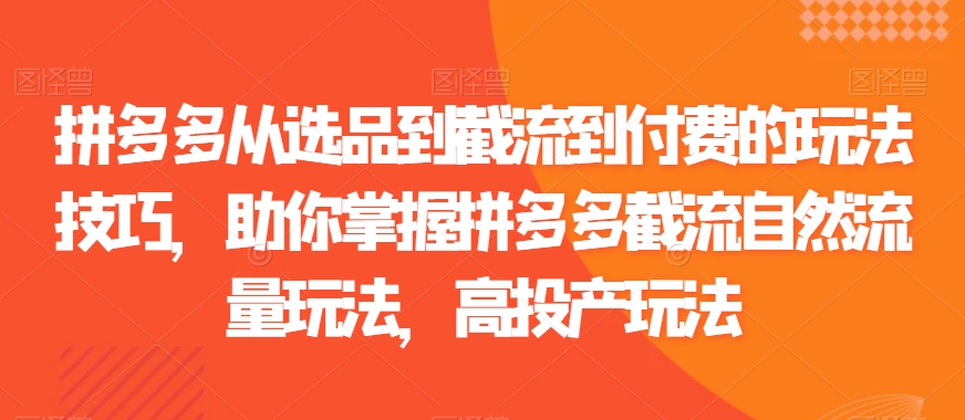 拼多多从选品到截流到付费的玩法技巧，助你掌握拼多多截流自然流量玩法，高投产玩法-氢气球网创资源库