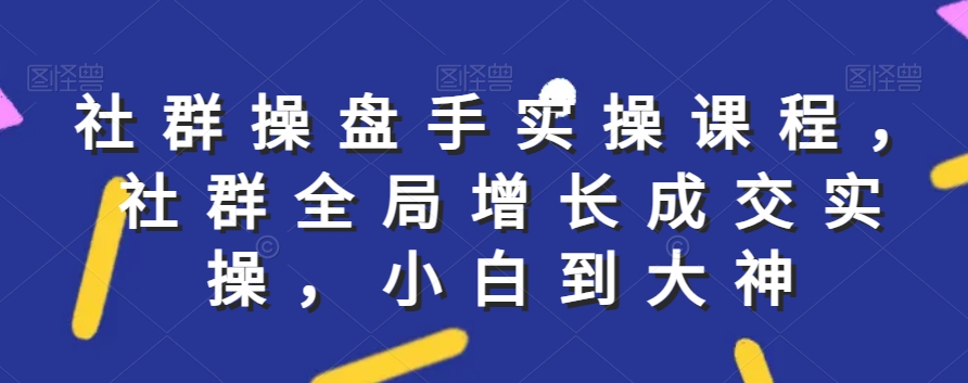 社群实操课程，社群全局增长成交实操，小白到大神-氢气球网创资源库