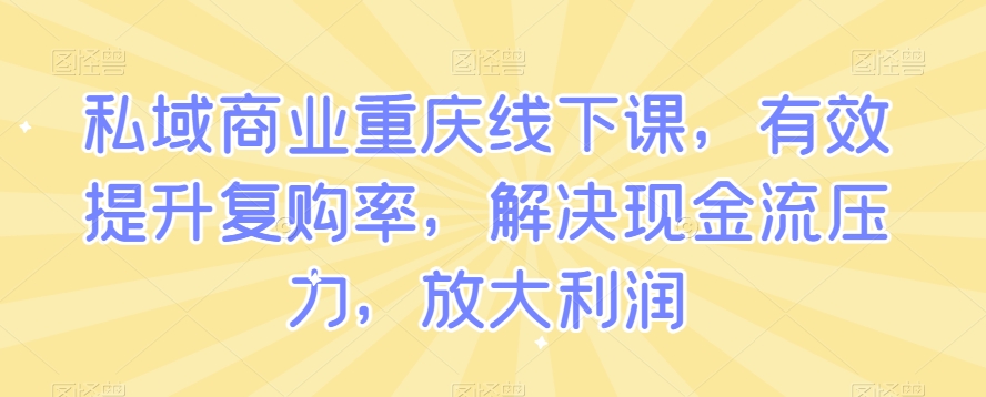 私域商业重庆线下课，有效提升复购率，解决现金流压力，放大利润-氢气球网创资源库