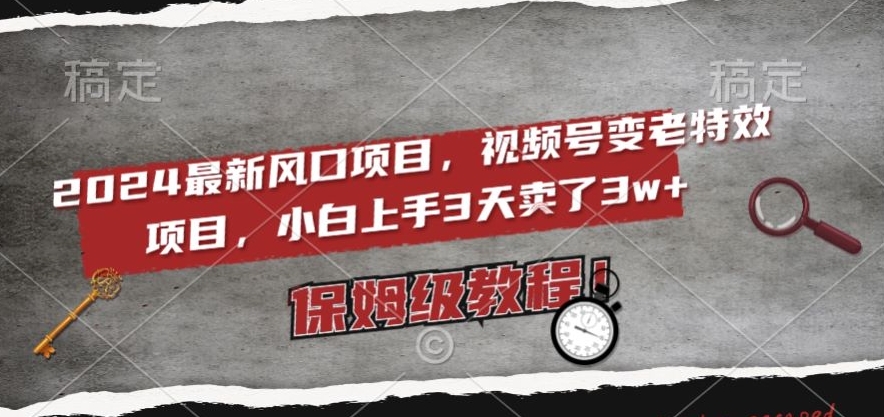 2024最新风口项目，视频号变老特效项目，电脑小白上手3天卖了3w+，保姆级教程【揭秘】-氢气球网创资源库