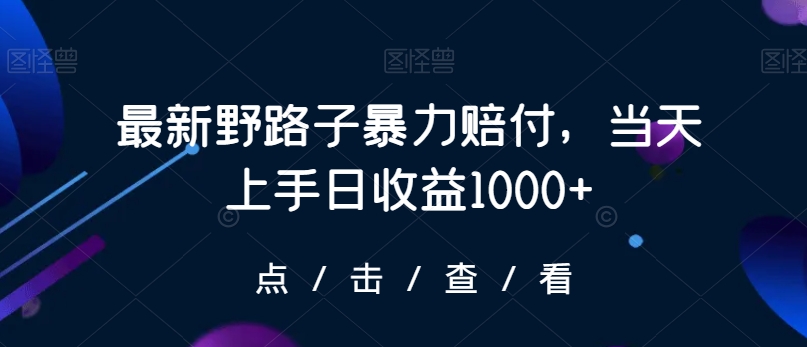 最新野路子暴力赔付，当天上手日收益1000+【仅揭秘】-氢气球网创资源库