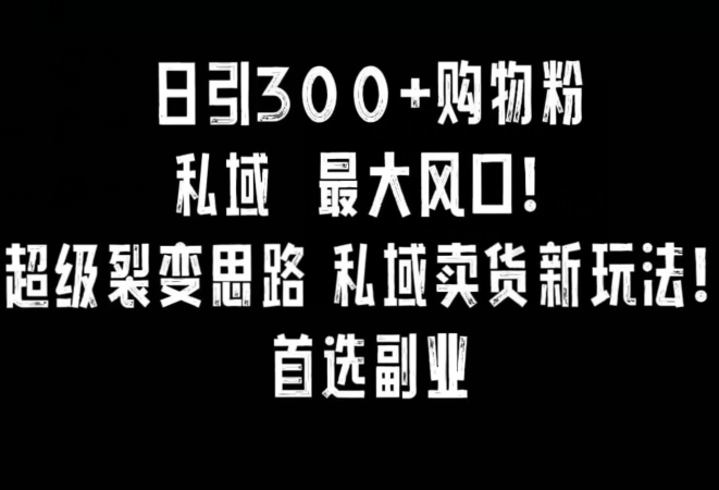 日引300+购物粉，超级裂变思路，私域卖货新玩法，小红书首选副业【揭秘】-氢气球网创资源库